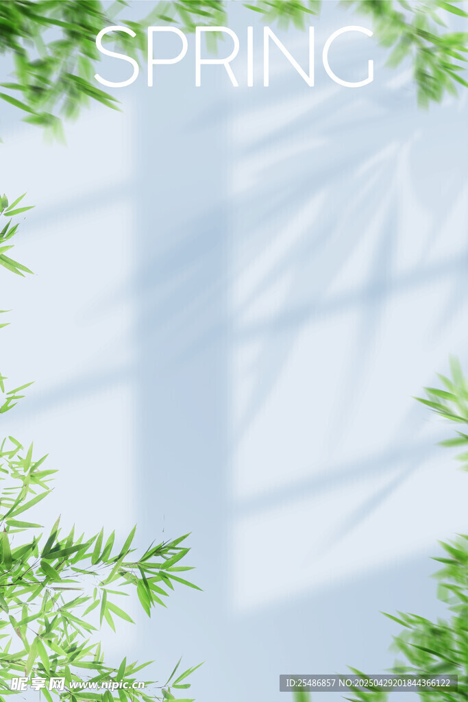 照片前背景