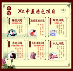 中医特色项目养生海报