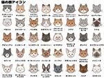 可爱猫咪头像