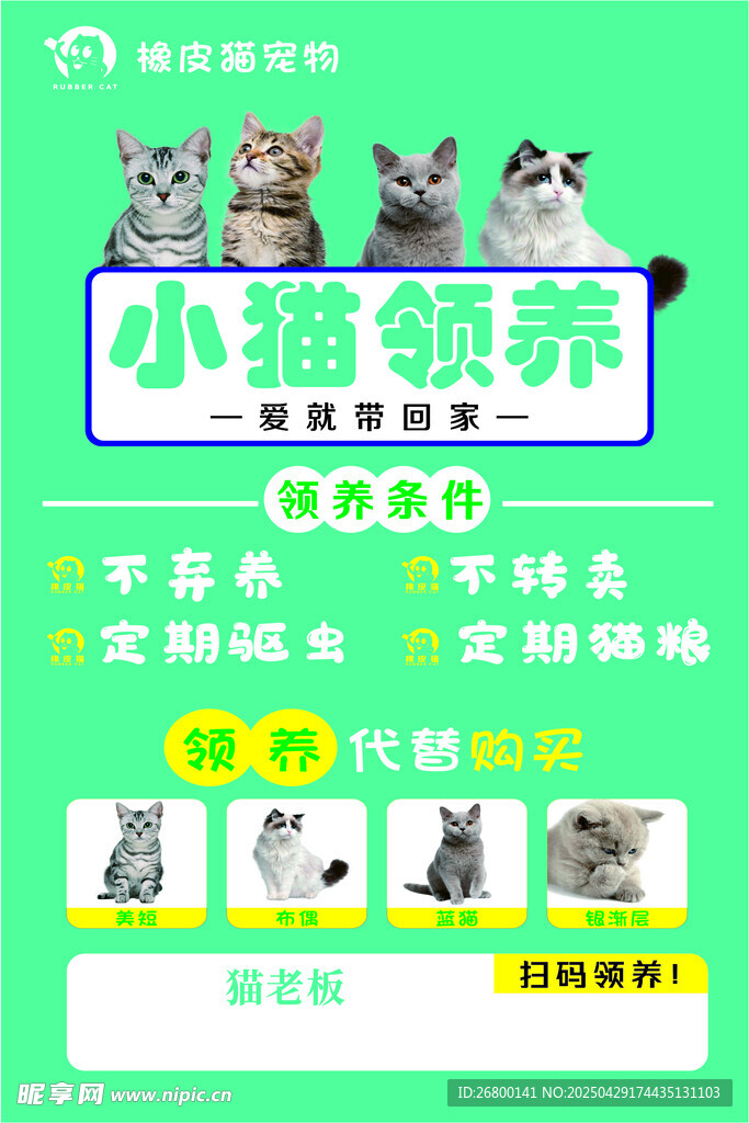 小猫饲养指南
