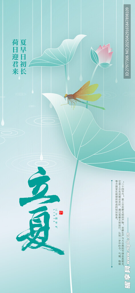 清新立夏节气插画海报
