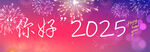 你好2025