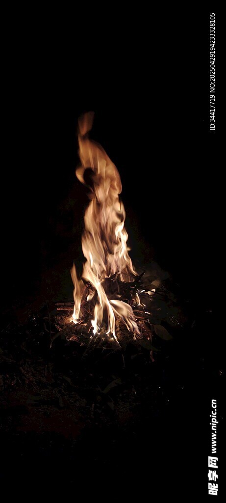篝火熊熊燃烧的夜晚景象