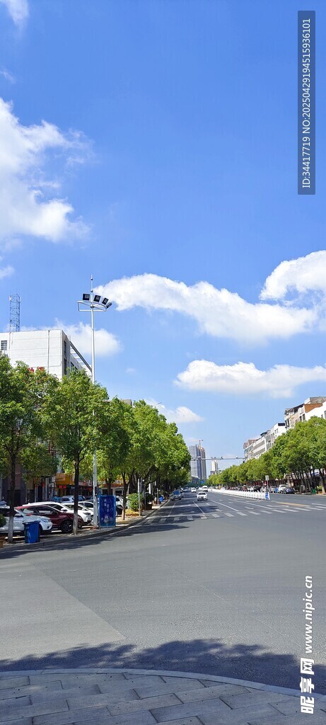 宽阔道路旁绿树蓝天
