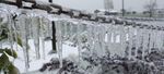 冬日屋檐冰柱雪景