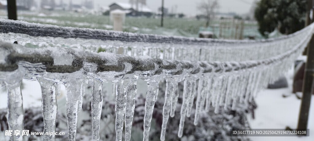 雪覆围栏 冬日静谧景致