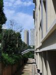楼间小道与绿植景观