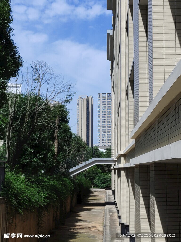 楼间小道与绿植景观