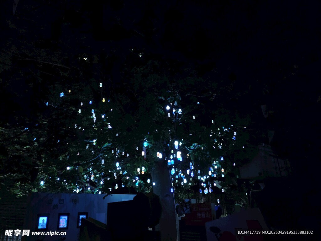 夜晚闪烁的梦幻灯光树