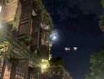 夜晚美景