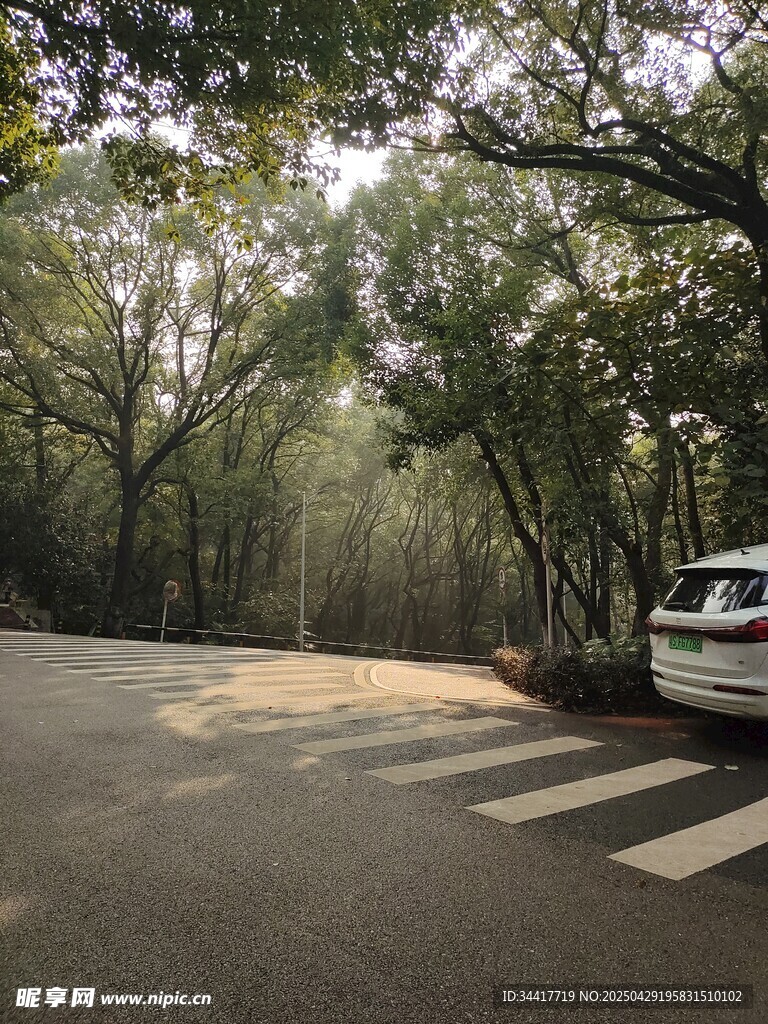 林间道路