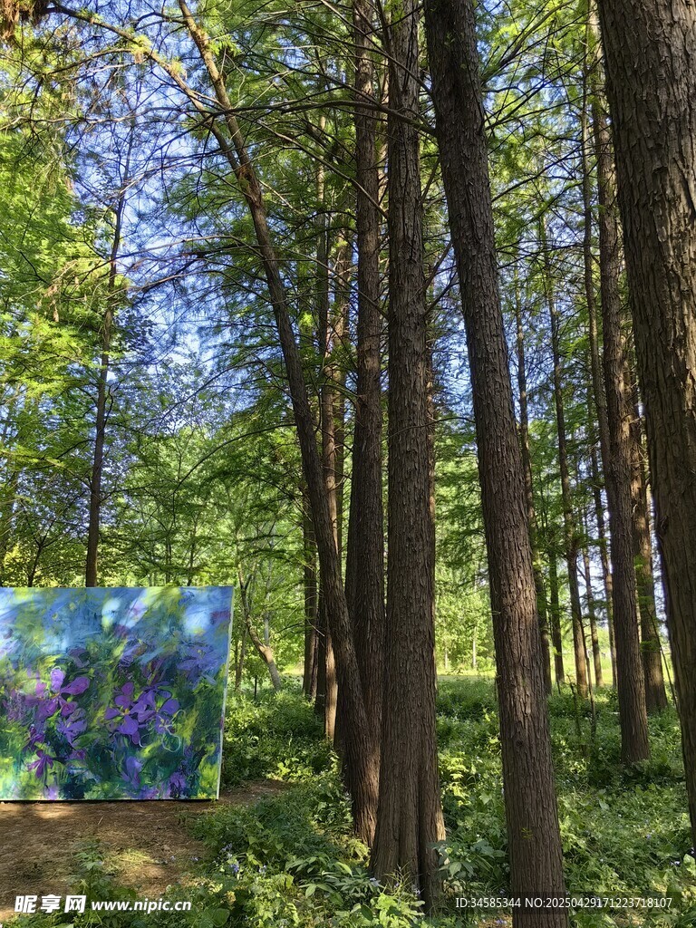 森林中的多彩艺术画作