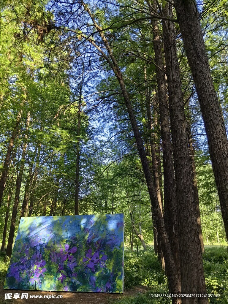 森林中的梦幻彩色艺术装置