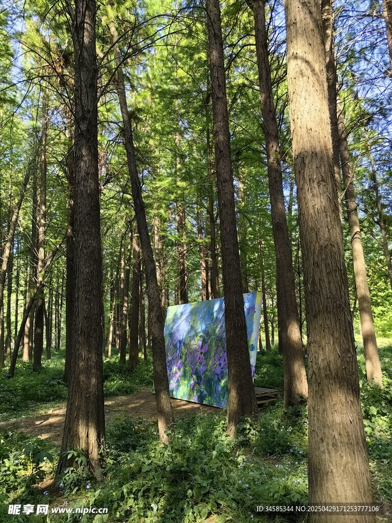 森林中的艺术画作展示