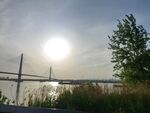 夕阳下的桥梁与绿树景观