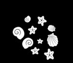 白色贝壳海星装饰图案