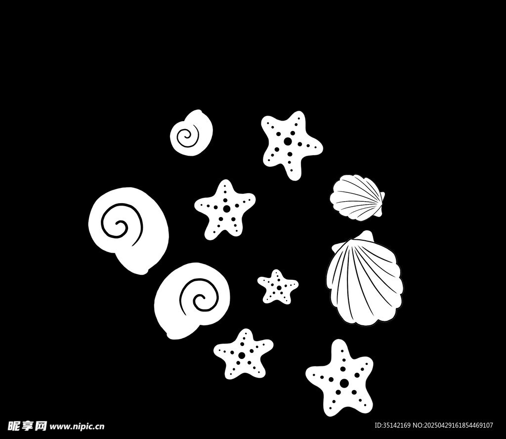 白色贝壳海星装饰图案