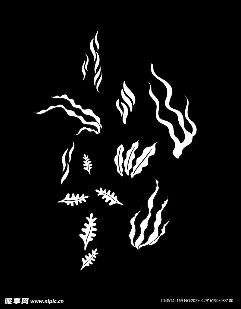 海草海藻图案设计