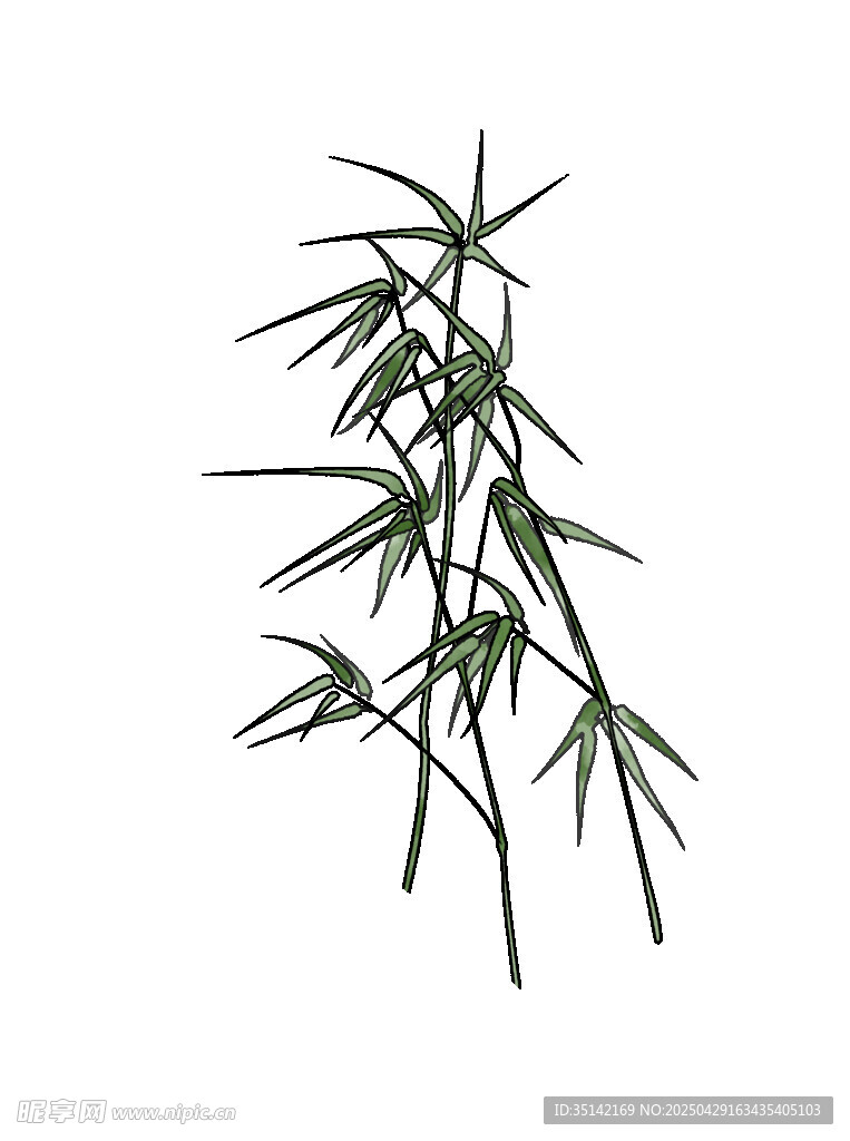 翠绿竹子植物素材图