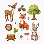 森林小动物与自然元素插画