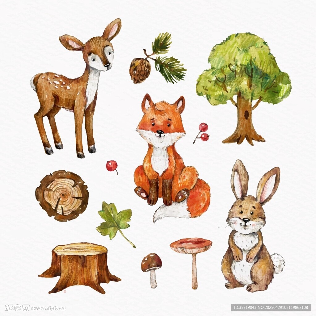 森林小动物与自然元素插画