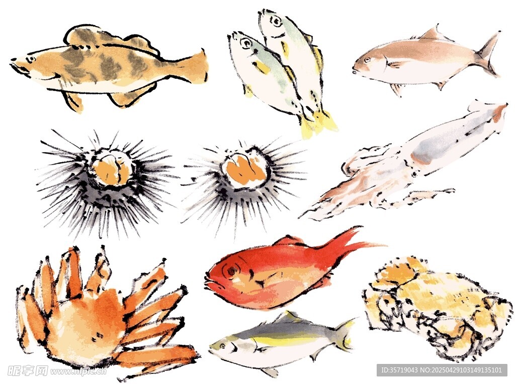 海洋生物水彩插画集合