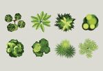 多样绿植图案集合