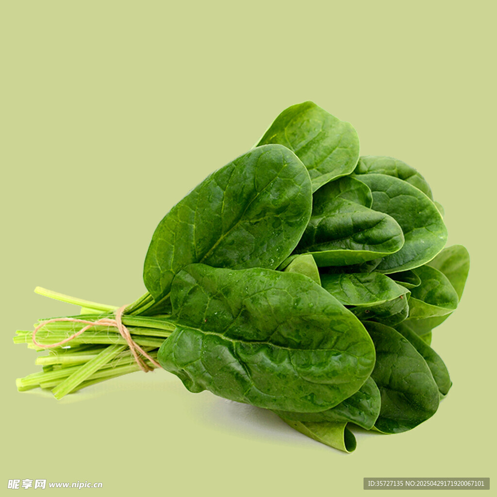 新鲜菠菜素材