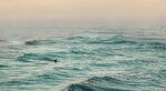 海上波浪中的冲浪者