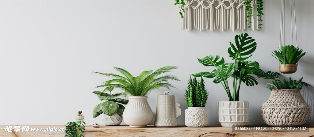 室内绿植装饰摆件展示