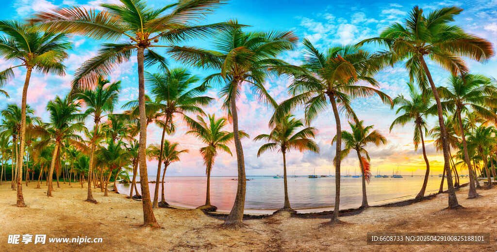 热带海滩椰林美景