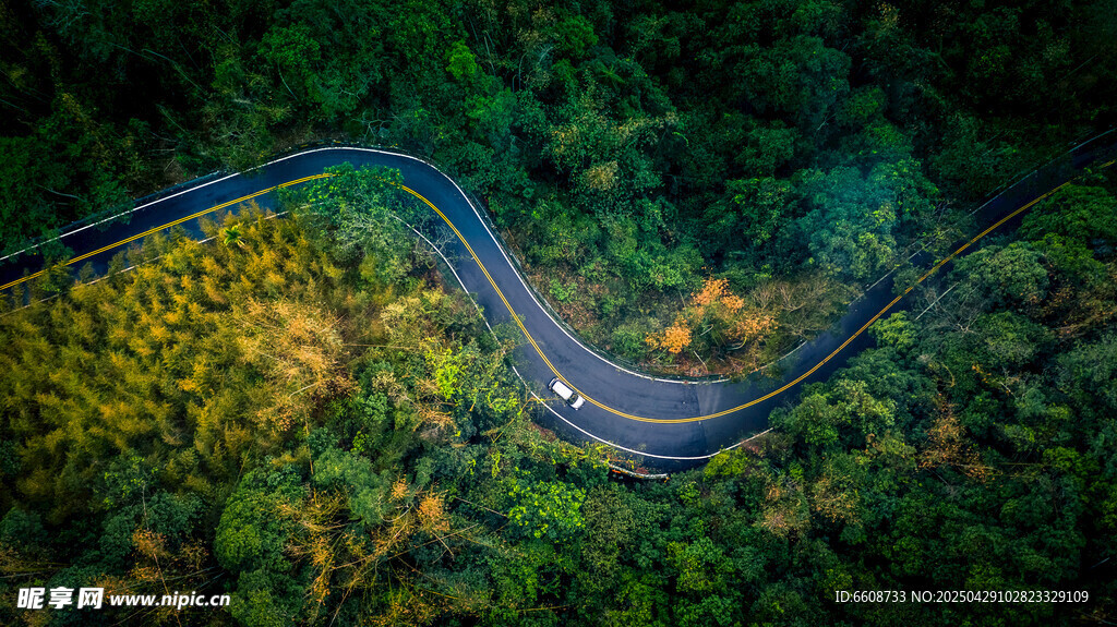 蜿蜒公路穿梭翠绿山林