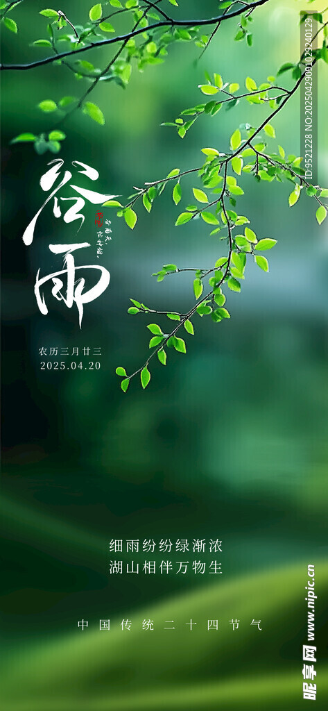 枝叶谷雨节气海报