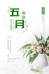 五月你好海报