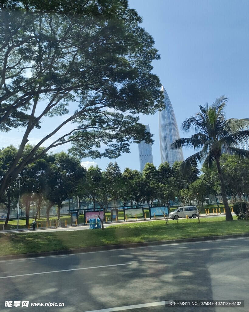 大树下的高楼