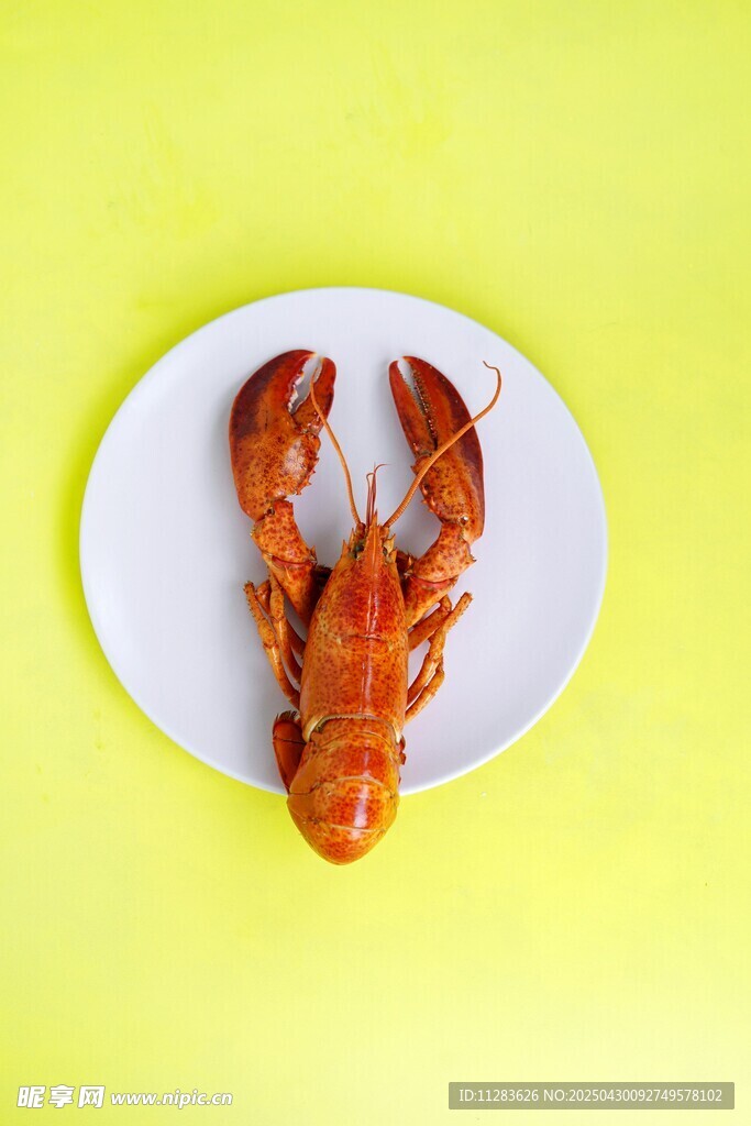 盘中美味小龙虾