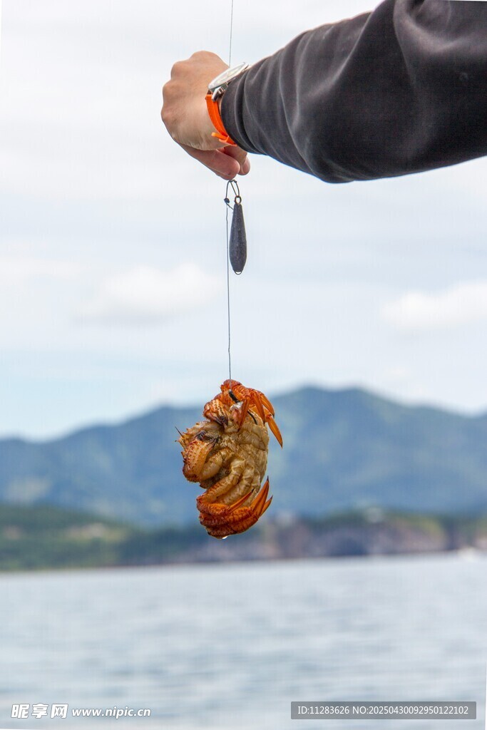 海边垂钓收获肥硕海鱼