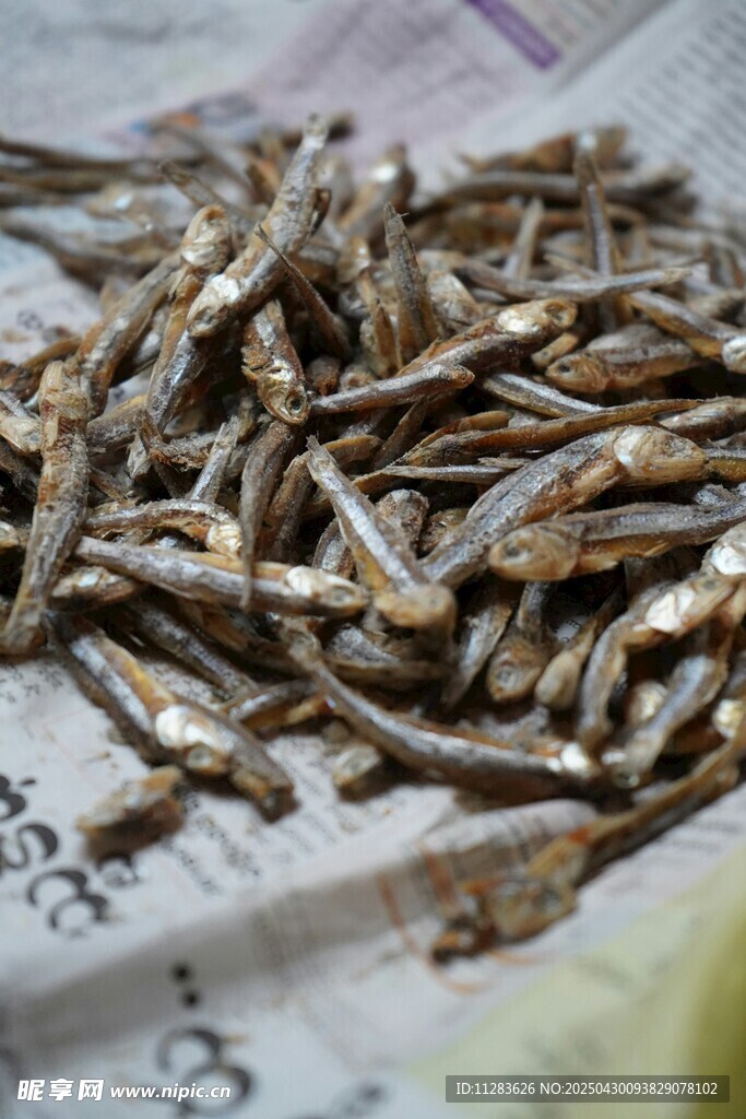 干小鱼干货特写