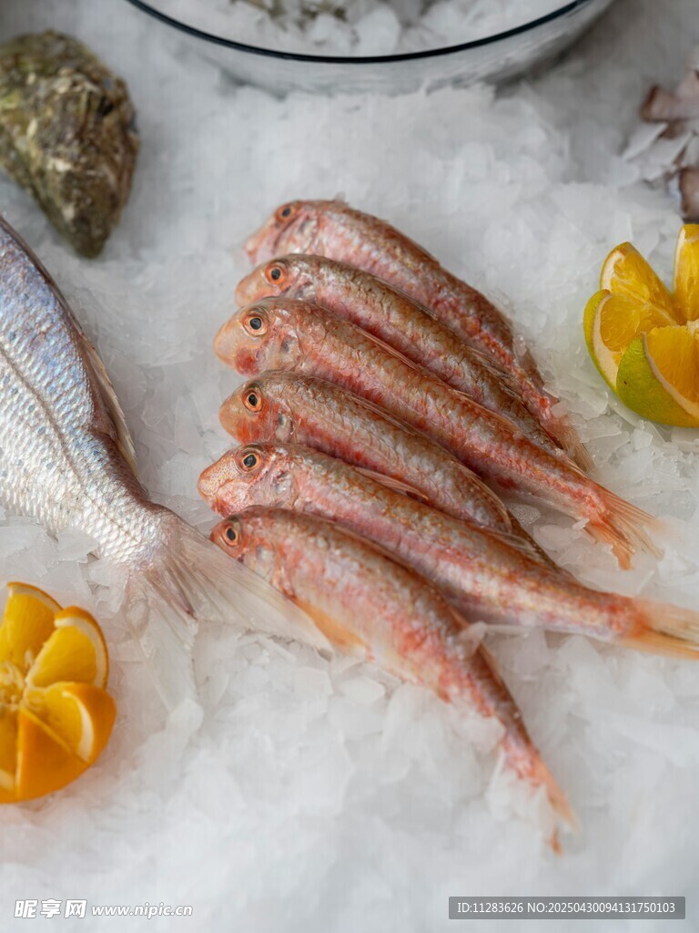 冰鲜海鱼与柠檬等配饰