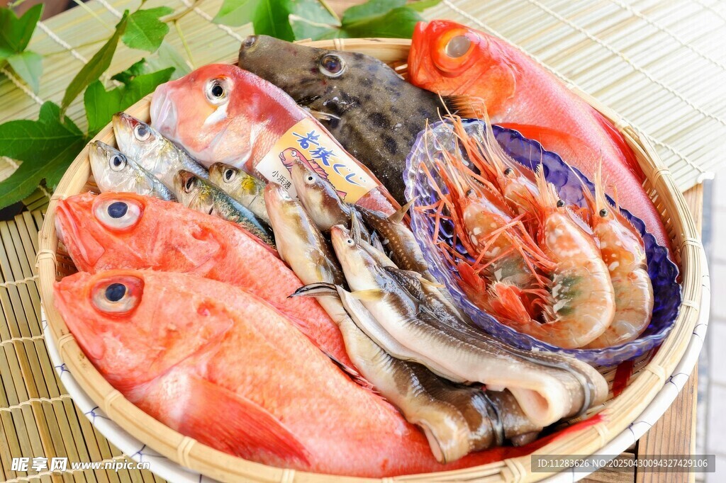 新鲜多样海鱼大集合