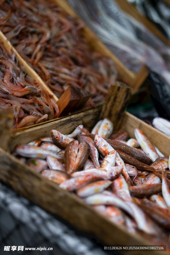 海鲜干货展示