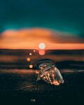 海边梦幻光斑下的透明物体