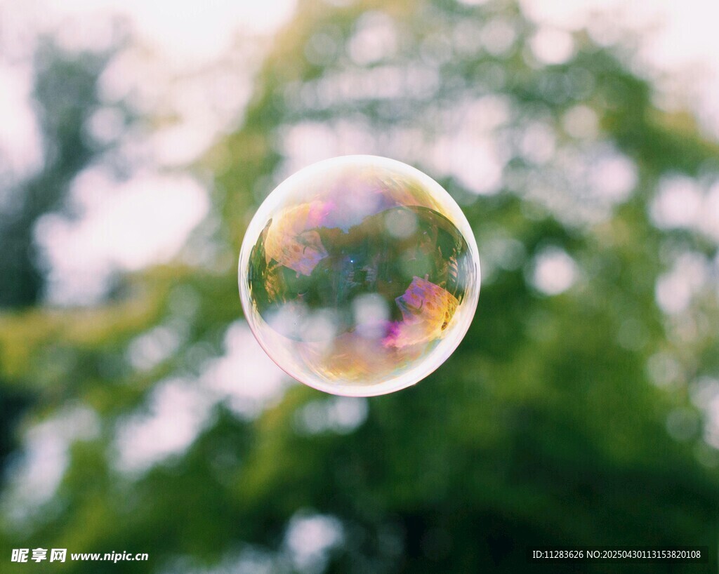 阳光下的梦幻透明泡泡