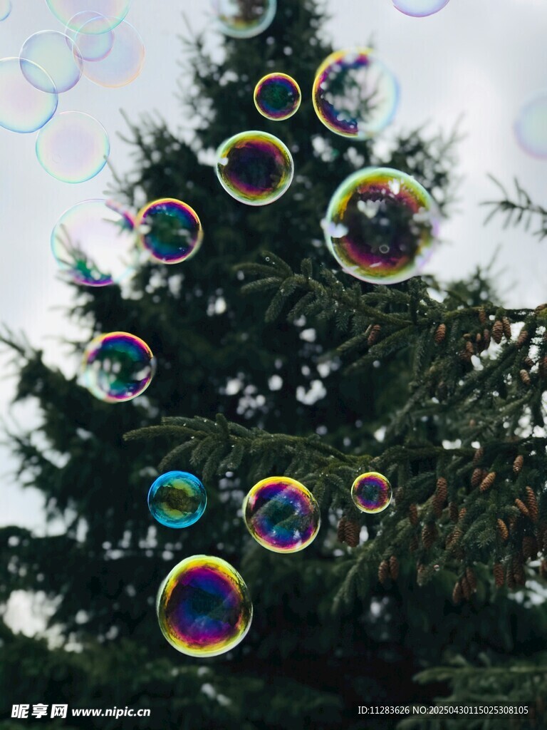 圣诞树旁五彩泡泡飞舞