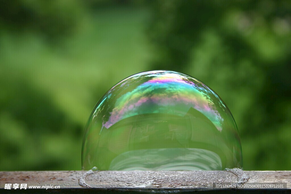 阳光下的梦幻透明泡泡