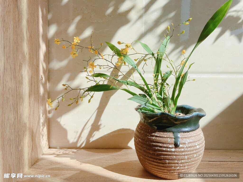 窗边陶罐绿植生机盎然