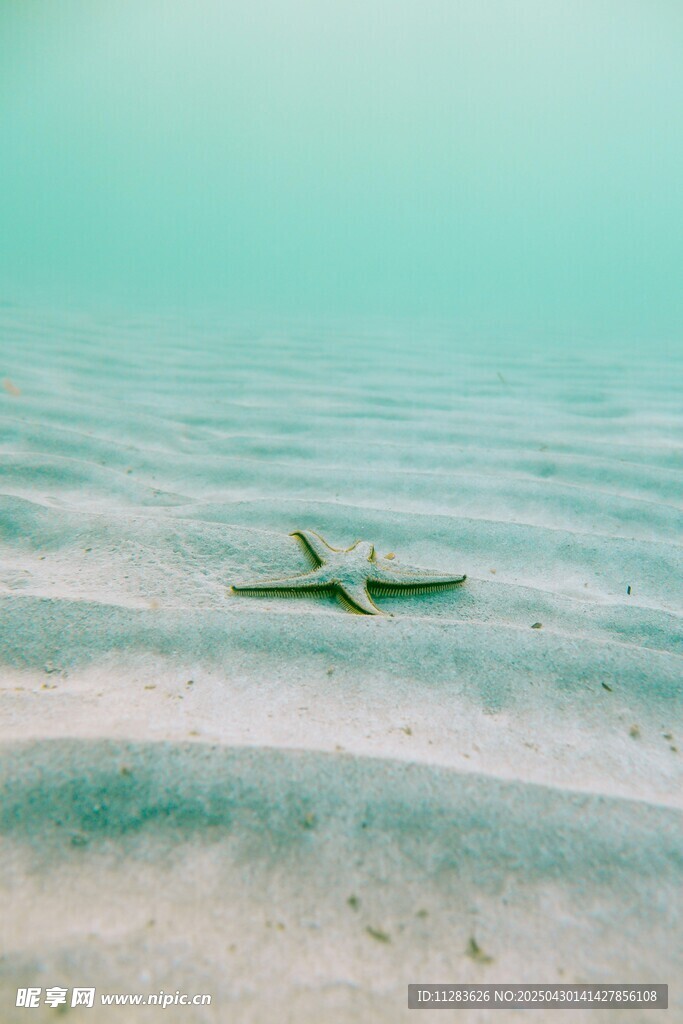 海上滑翔飞机