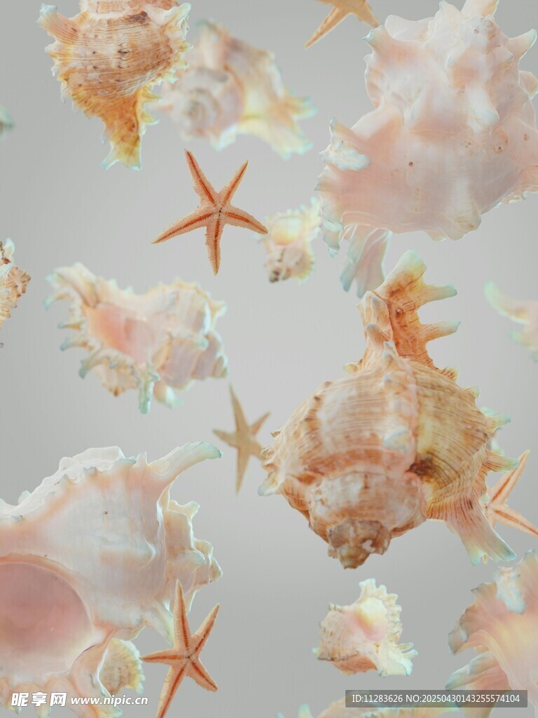 缤纷海星与贝壳的梦幻组合