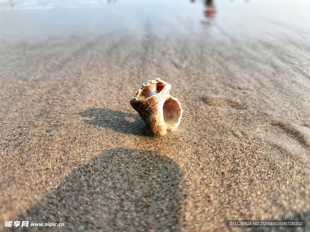 沙滩上的奇特孔洞物体