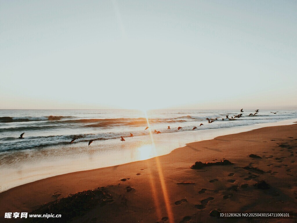 夕阳下的美丽海滩景象